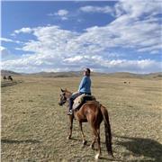 Docente di lingua inglese e francese offre ripetizioni di grammatica e letteratura per ragazzi scuole medie, superiori ed adulti